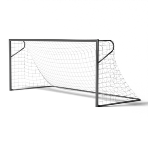 Vast voetbaldoel Swansea 5x2 meter P model