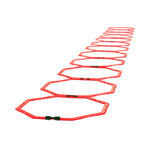 Ringladder | Set van 12